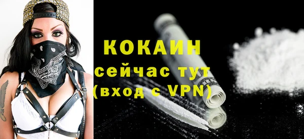гидра Арсеньев