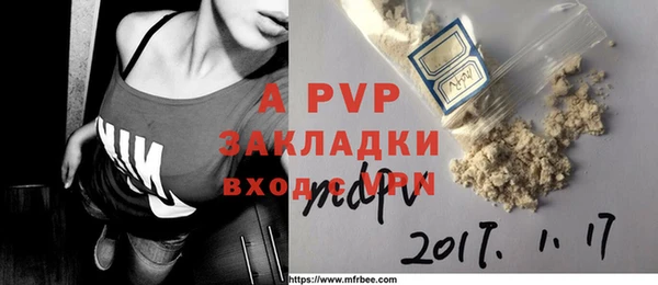 гидра Арсеньев