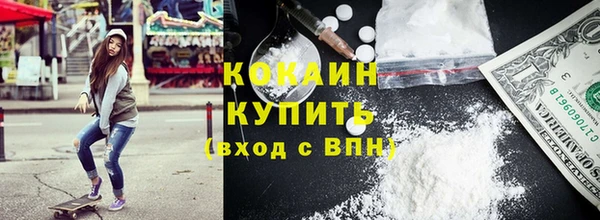гидра Арсеньев