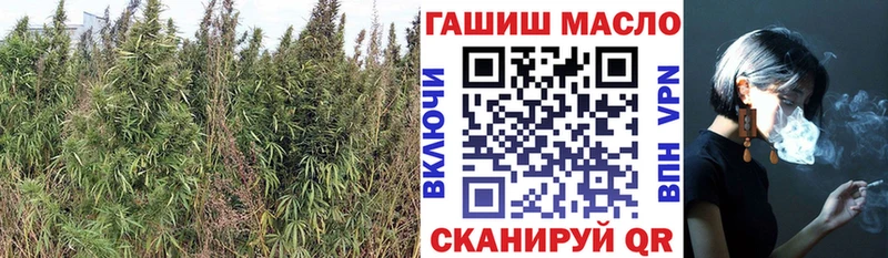 мориарти Telegram  KRAKEN ONION  Мегион  купить  цена  Дистиллят ТГК THC oil 