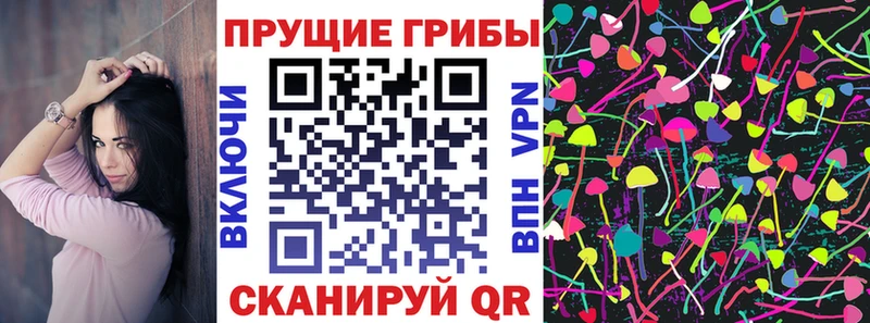 сайты даркнета телеграм Мегион Галлюциногенные грибы мицелий